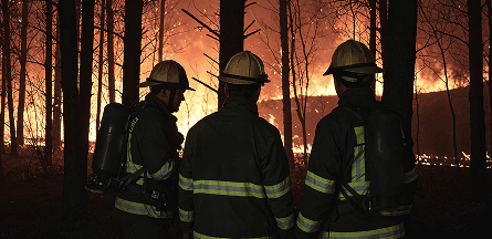 forio wildfire mitigation simulation three firefighters watch red blaze forest fire